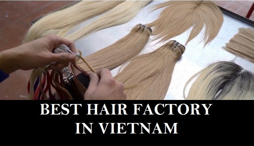 best-hair-factory-in-vietnam