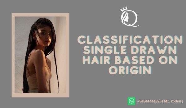 Classification-single-drawn-hair-based-on-origin
