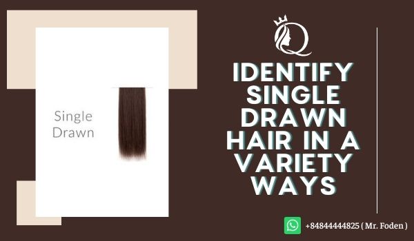 Identify-single-drawn-hair-in-a-variety-ways