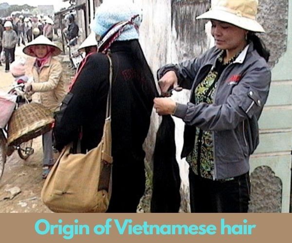 Vietnamese-hair_2