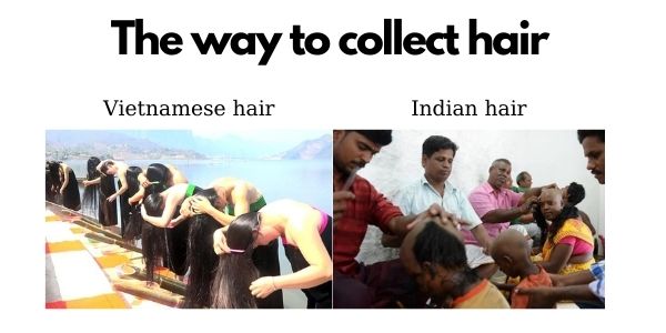 Vietnamese-hair-vs-Indian-hair_3