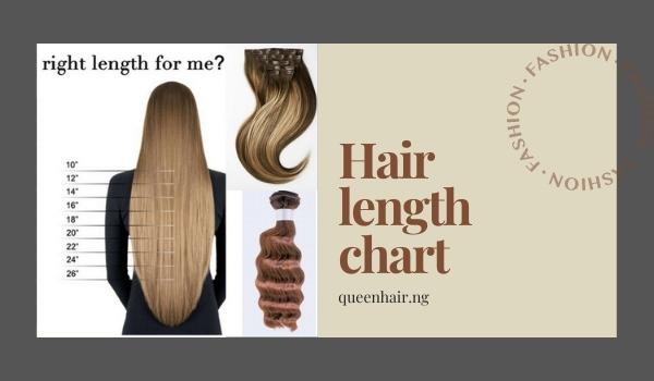 10 inch hair: everything you need to know – Queen Hair – #1 Vietnamese Hair  Supplier in Nigeria