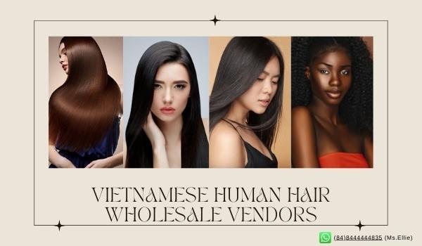 human-hair-wholesale-vendors-5