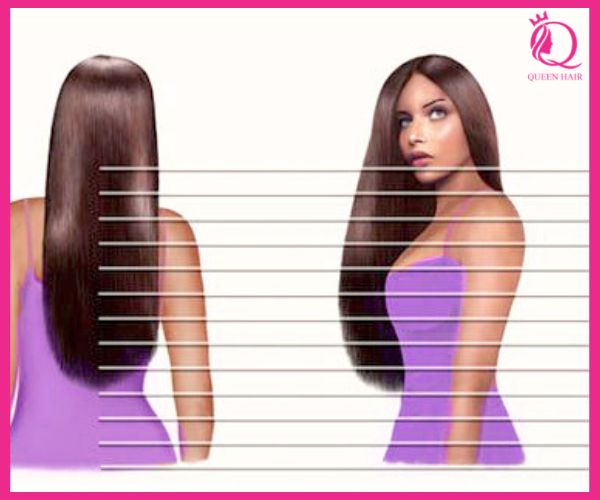 Hair length chart - Useful tool for the beauty of hair