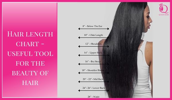 Hair length chart – Useful tool for the beauty of hair