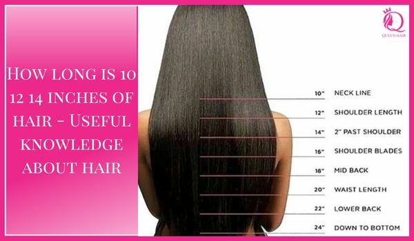 How long is 10 12 14 inches of hair – Knowledge about hair